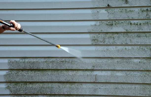 Best Mold Removal Process  in Lincoln, MO
