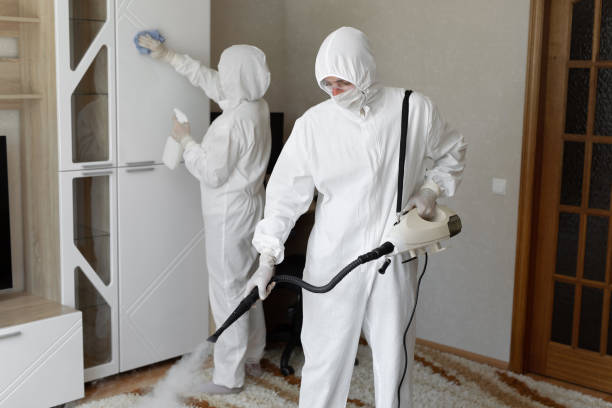 Crawl Space Mold Removal in Lincoln, MO
