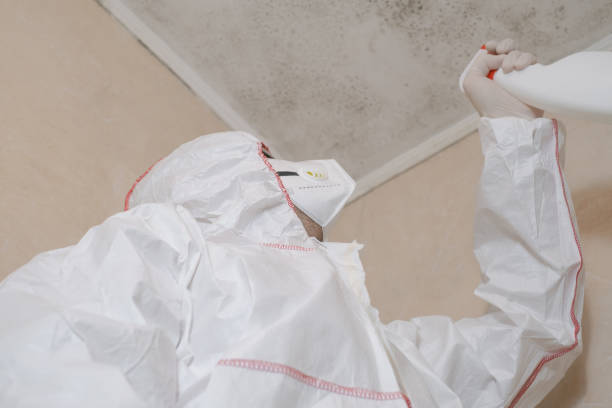 Best Home Mold Removal  in Lincoln, MO