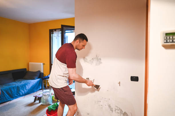 Best Office Mold Removal Services  in Lincoln, MO